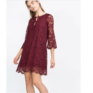 Zara burgundy lace guipure mini straight dress